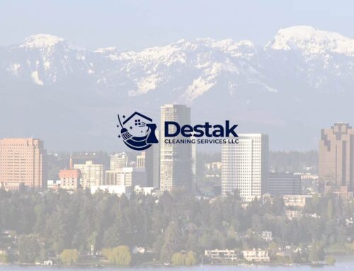 House Cleaning Services in Bellevue