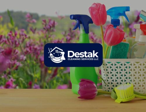 Spring Cleaning Services Near Me